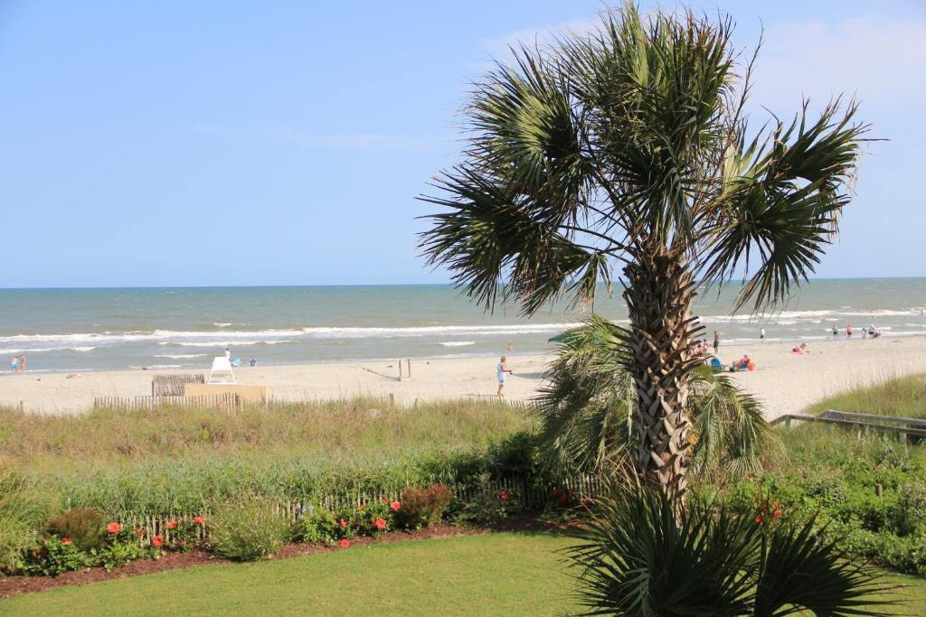 Jade Tree Cove Hotell Myrtle Beach Eksteriør bilde